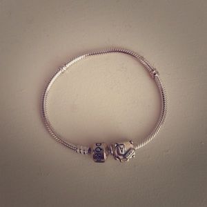 Silver Pandora Beacelet